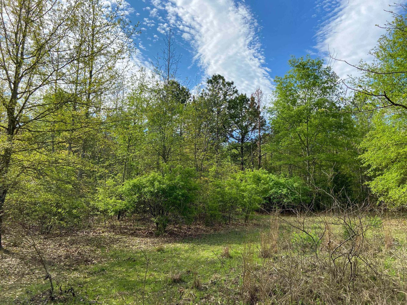 Farris 115 Timber: 00 CR 2215, Daingerfield, TX 75638